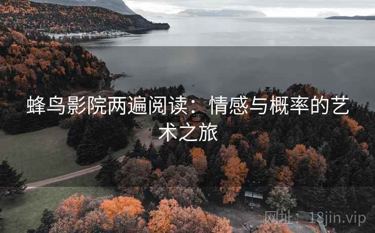 蜂鸟影院两遍阅读：情感与概率的艺术之旅